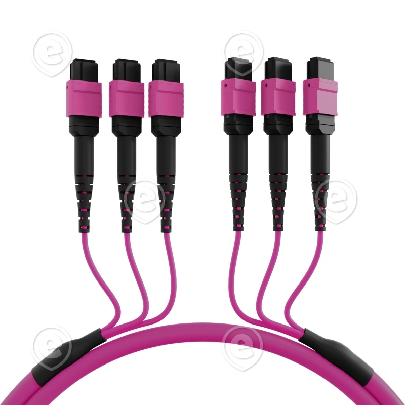 3366-mtpf48mtpfom4-15-a-web-big-1-2.png.webp