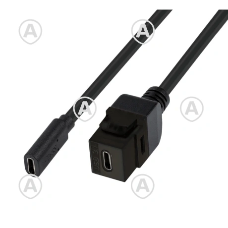 Üleminek USB 3.1 tüüp C F/F keystone pesale, 0,15m kaabel
