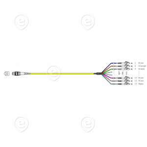 MTP®-F/LC/APC 12-fiber patch cable OS2, LSZH yellow, 2m