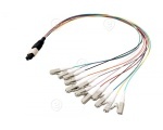 MTP®-F/MTP®-F 48-fiber matrix Patch cable OM4, Code A