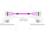 MTP®-F/MTP®-F 12-fiber matrix patch cable OM4, LSZH erica-violet, Code A, 2,0m