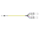 MTP®-F/LC/APC 12-fiber patch cable OS2, LSZH yellow, 1m