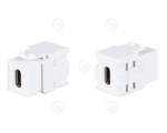 Keystone adapter USB 3.1 C female to USB C female plastic black