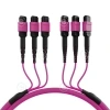 2169-mtpf48mtpfom4-15-a-web-big-1-3.png.webp